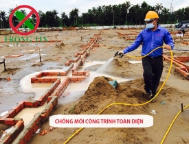 Chống mối toàn diện cho công trình mới xây – Gọi ngay Trọng Tín An Giang