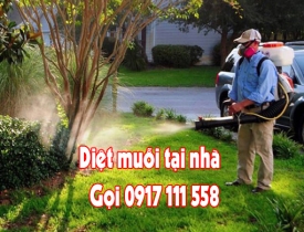 DỊCH VỤ PHUN MUỖI – DIỆT CÔN TRÙNG GÂY HẠI