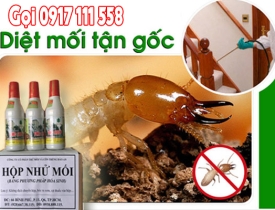 Diệt mối An Giang tận gốc | Dịch vụ uy tín – giá tốt