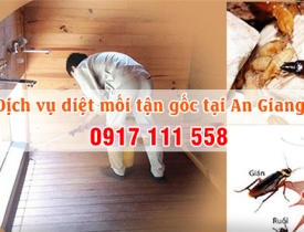 DỊCH VỤ DIỆT MỐI TẬN GỐC – TRỌNG TÍN AN GIANG