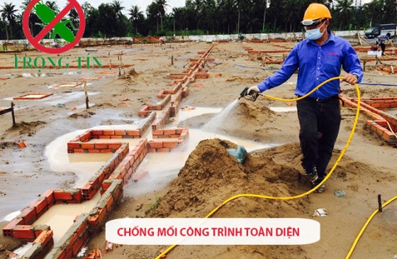 Chống mối toàn diện cho công trình mới xây – Gọi ngay Trọng Tín An Giang