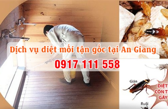 DỊCH VỤ DIỆT MỐI TẬN GỐC – TRỌNG TÍN AN GIANG